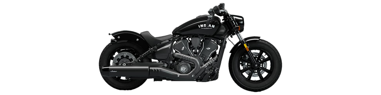 SCOUT 15-22 / SCOUT BOBBER 15-22 (295 MM)